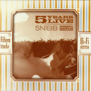 ดาวน์โหลดและฟังเพลง Stone Cold พร้อมเนื้อเพลงจาก Pontus Snibb