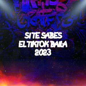 DJ Stephany的專輯Si Te Sabes El TikTok Baila 2023 (Explicit)
