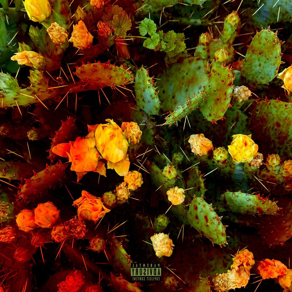 deceive me (Explicit)