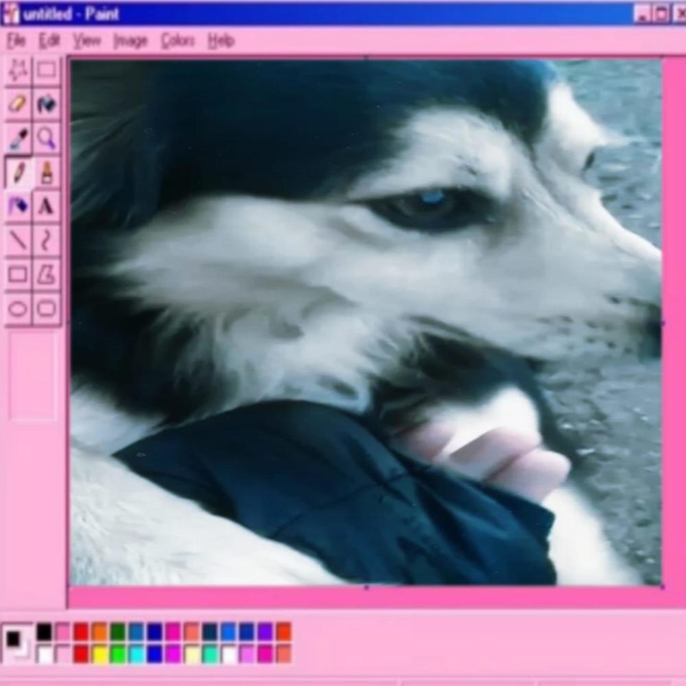DogToughts