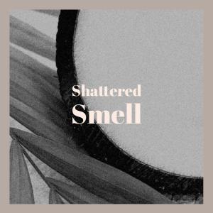 Various的专辑Shattered Smell