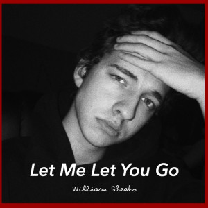 William Sheats的专辑Let Me Let You Go
