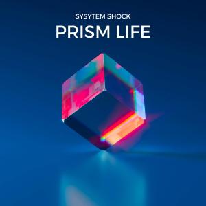 收聽System Shock的What U Do歌詞歌曲