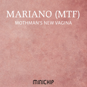 Listen to Mothman's New Vagina (TreeFix Remix) song with lyrics from Mariano (MTF)