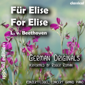 ดาวน์โหลดและฟังเพลง For Elise , Für Elise (feat. Roger Roman) พร้อมเนื้อเพลงจาก Ludwig van Beethoven