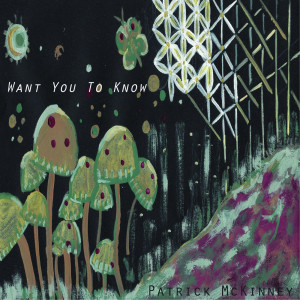 收听Patrick McKinney的Want You To Know歌词歌曲