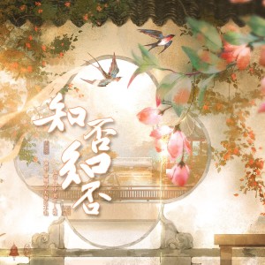 Album 知否知否 from 墨凰兮