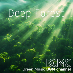 Green Music BGM channel的專輯Deep Forest