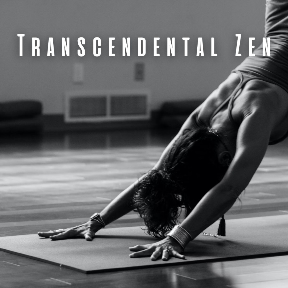 Serene Yoga Harmony