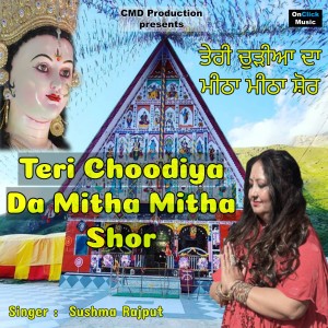 Album Teri Choodiya Da Mitha Mitha Shor from Sushma Rajput