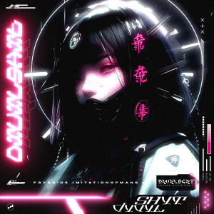Album Dxvxlshxt from 