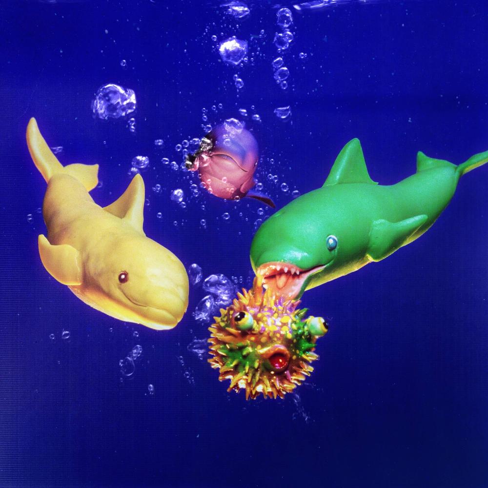 Dolphins' Delight