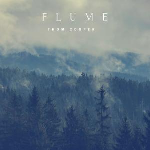 อัลบัม Flume ศิลปิน Thom Cooper
