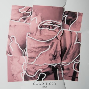 ดาวน์โหลดและฟังเพลง Such a Kind Stranger (Redux) พร้อมเนื้อเพลงจาก Good Tiger
