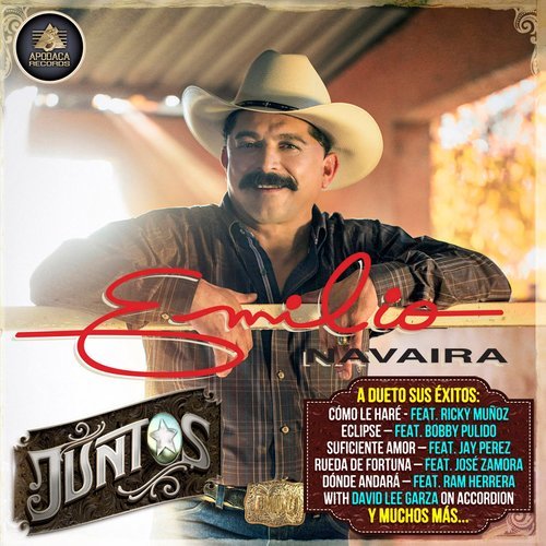 Cantante Solitario