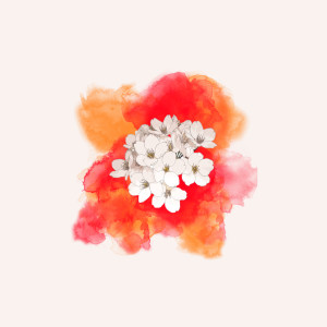 Listen to Maple Leaves song with lyrics from Santi Castro