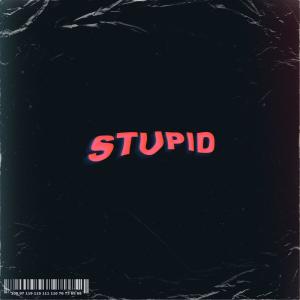 Listen to STUPID song with lyrics from dawsonLIED