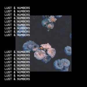 Album Lust & Numbers (feat. Flow & Robert John) (Explicit) from Robert John