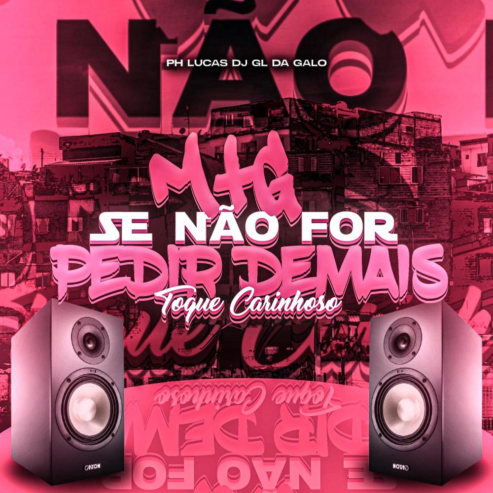 MTG - SE NÃO FOR PEDIR DEMAIS (Toque Carinhoso) (- Remix|feat. DJ GL DA GALO)