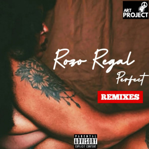 อัลบัม PERFECT (Remixes) ศิลปิน Rozo Regal