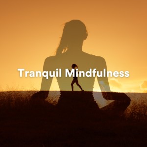 Album Tranquil Mindfulness from Ambient Relaxation