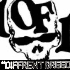 Listen to Diffrent Breed (Explicit) song with lyrics from R2R Jaccboii