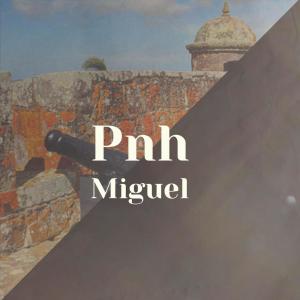 Listen to Pnh Miguel song with lyrics from Phanh Seli