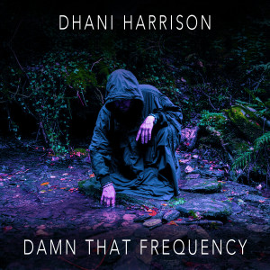 Dhani Harrison的專輯Damn That Frequency