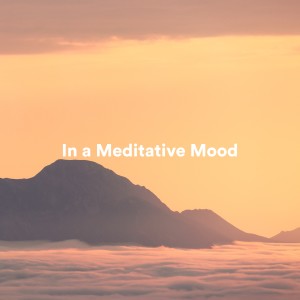 In a Meditative Mood