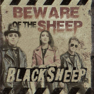 Beware of the Sheep