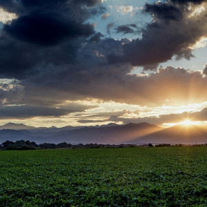 Dengarkan We Are Going lagu dari Walter Gold dengan lirik