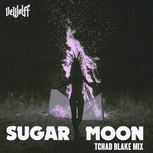 收聽DeWolff的Sugar Moon (Tchad Blake Mix)歌詞歌曲