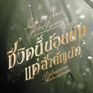 ดาวน์โหลดและฟังเพลง ชีวิตนี้น้อยนัก แต่สำคัญนัก พร้อมเนื้อเพลงจาก ปทุมมามหาสิกขาลัย