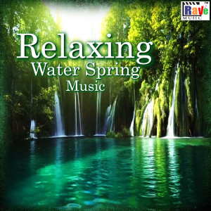 Listen to Relaxing Water Spring Music song with lyrics from Sachin Chauhan