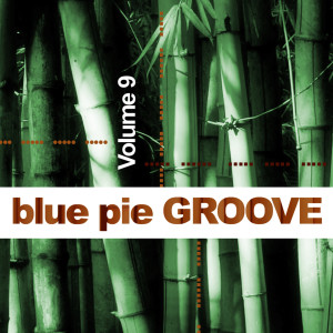 อัลบัม Blue Pie Groove Vol.9 ศิลปิน Various