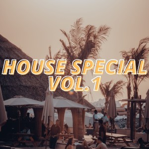 Various的专辑House Special Vol.1
