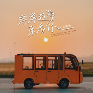 Listen to 漂洋过海来看你 (DJ京仔版) song with lyrics from 王雨缦