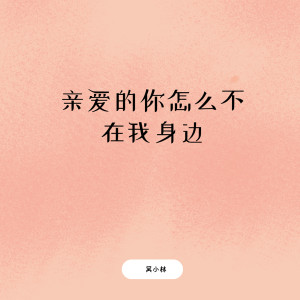 收聽吳小林的親愛的你怎麼不在我身邊歌詞歌曲