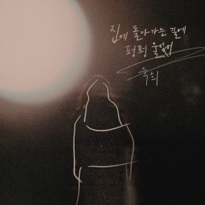 Listen to 집에 돌아가는 길에 펑펑 울었어 song with lyrics from 淑熙