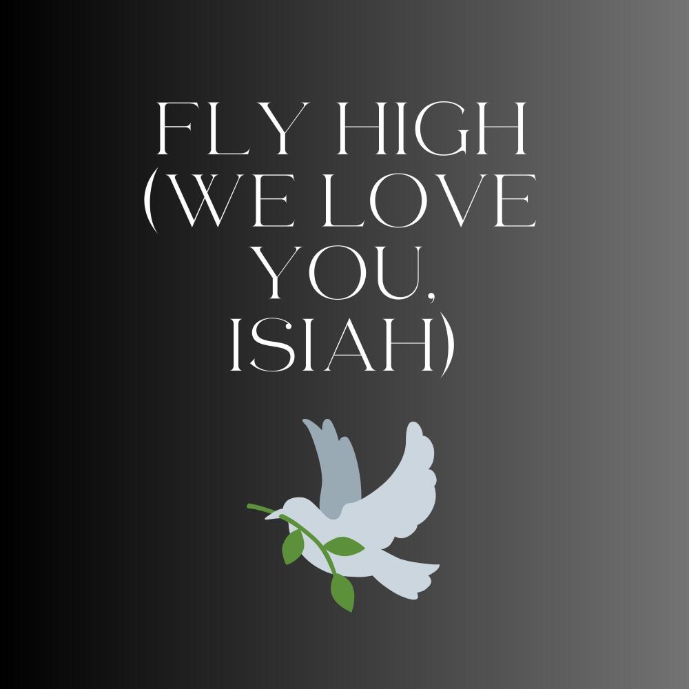 Fly High