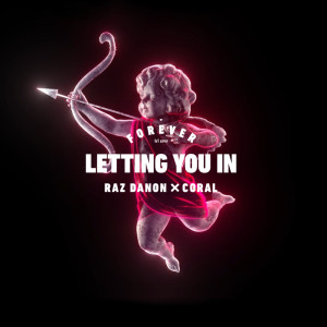 收听Raz Danon的Letting You In歌词歌曲