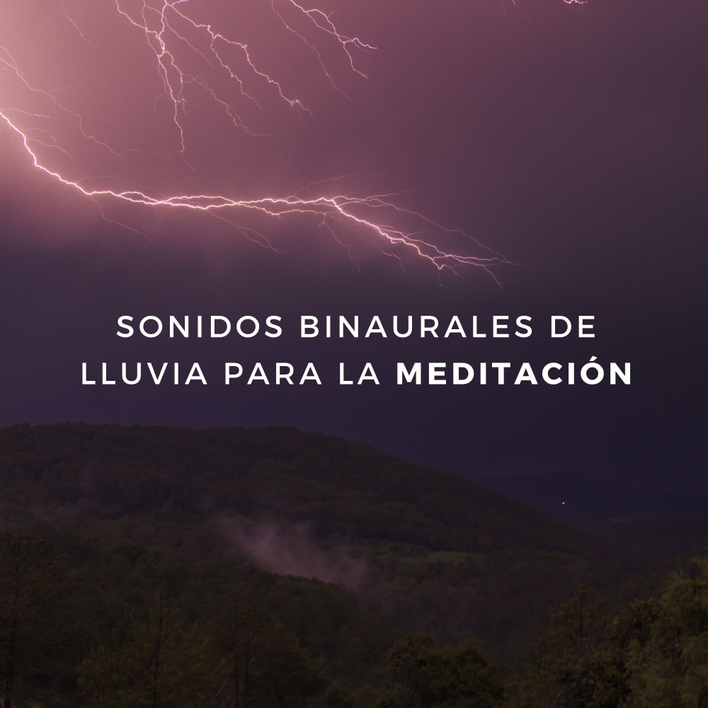 Meditación Ambiental En La Selva Tropical