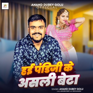 Listen to Hai Pandiji Ke Ashli Beta song with lyrics from Anand Dubey Golu