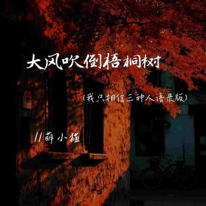Album 大风吹倒梧桐树 （(我只相信三种人语录版） from 萌小猫