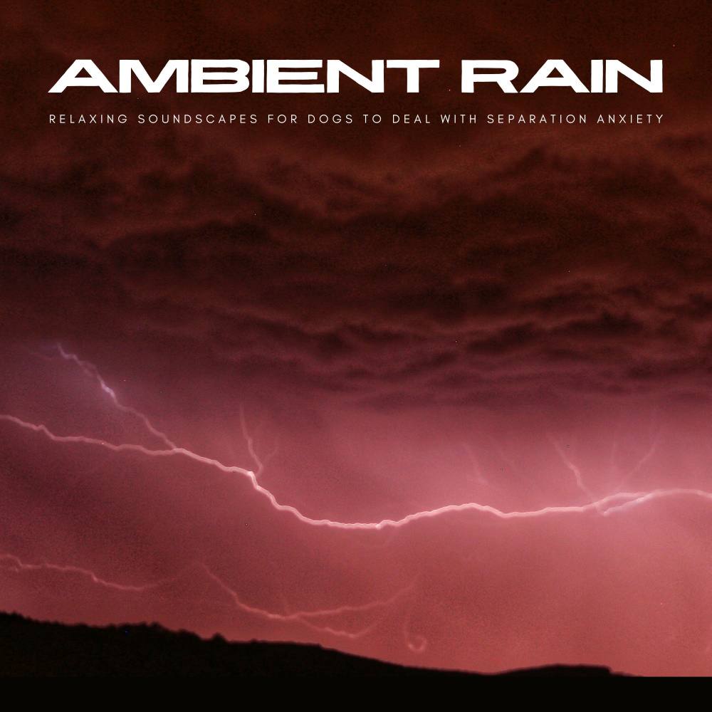Rain Phases
