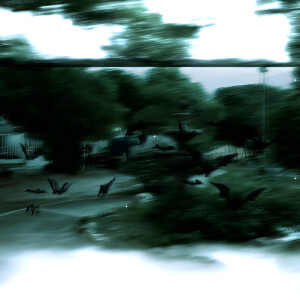 default album img