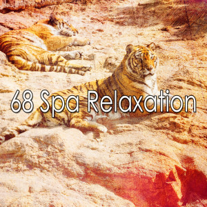 Dengarkan Loving Dream lagu dari Relaxing Spa Music dengan lirik