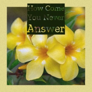 Listen to I Love You for Sentimental Reasons song with lyrics from Husky