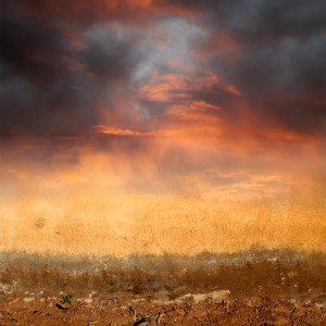 Tatá e Danú的專輯Terra Seca