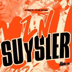 收聽DJ THEUZ ZN的ZN Suysler (Explicit)歌詞歌曲